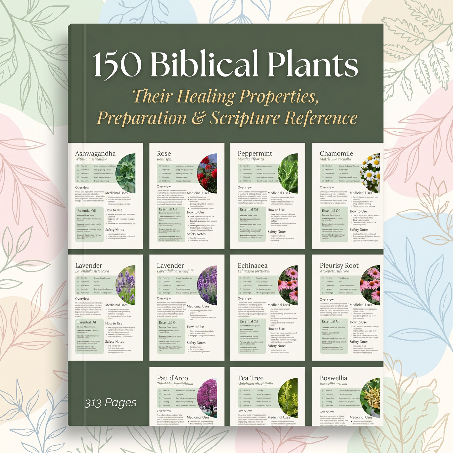 150 Healing Plants: Their Healing Properties, Preparation & Scripture Reference